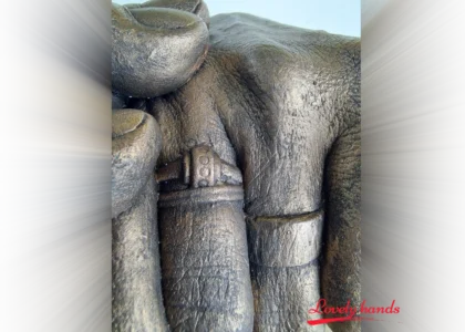 Handbeeld detail ring