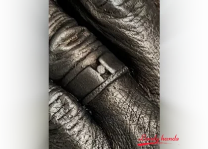 Handbeeld twee personen black bronze detail